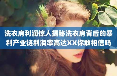 洗衣房利润惊人揭秘洗衣房背后的暴利产业链利润率高达XX你敢相信吗