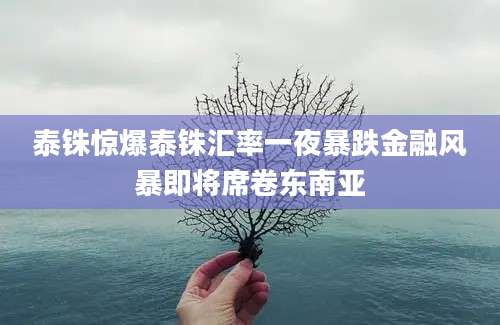 泰铢惊爆泰铢汇率一夜暴跌金融风暴即将席卷东南亚