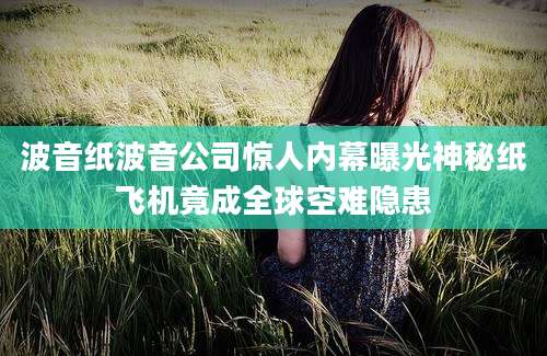 波音纸波音公司惊人内幕曝光神秘纸飞机竟成全球空难隐患