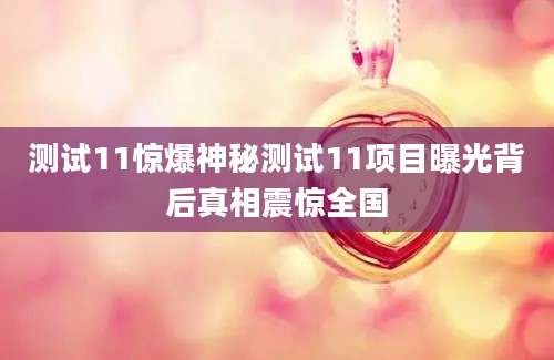 测试11惊爆神秘测试11项目曝光背后真相震惊全国