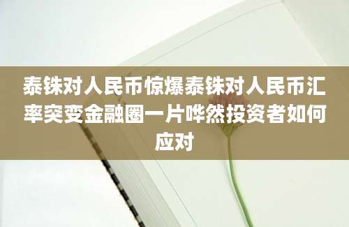 泰铢对人民币惊爆泰铢对人民币汇率突变金融圈一片哗然投资者如何应对