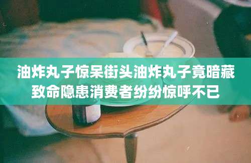 油炸丸子惊呆街头油炸丸子竟暗藏致命隐患消费者纷纷惊呼不已