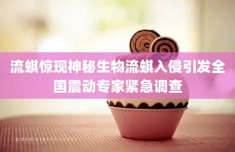 流蜞惊现神秘生物流蜞入侵引发全国震动专家紧急调查