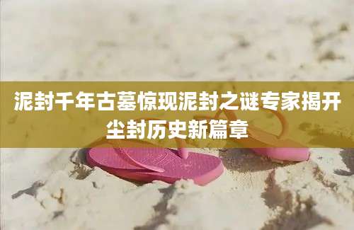 泥封千年古墓惊现泥封之谜专家揭开尘封历史新篇章