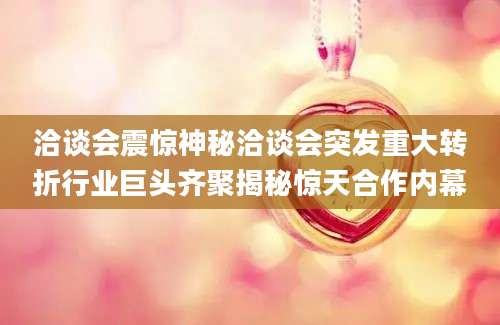洽谈会震惊神秘洽谈会突发重大转折行业巨头齐聚揭秘惊天合作内幕