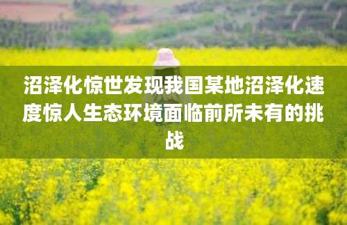 沼泽化惊世发现我国某地沼泽化速度惊人生态环境面临前所未有的挑战