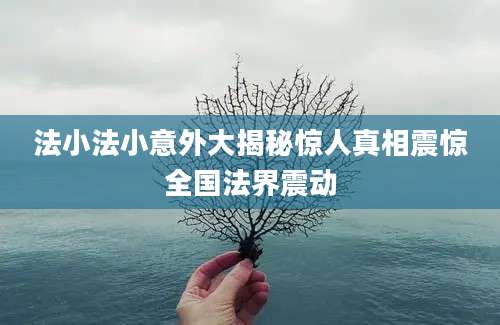 法小法小意外大揭秘惊人真相震惊全国法界震动
