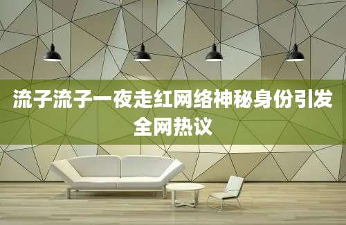 流子流子一夜走红网络神秘身份引发全网热议