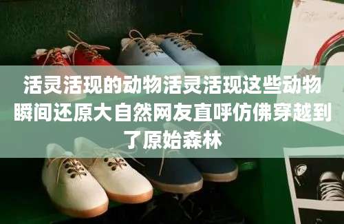 活灵活现的动物活灵活现这些动物瞬间还原大自然网友直呼仿佛穿越到了原始森林