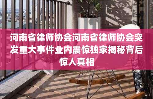 河南省律师协会河南省律师协会突发重大事件业内震惊独家揭秘背后惊人真相