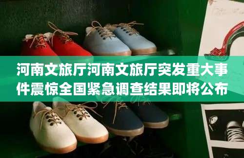 河南文旅厅河南文旅厅突发重大事件震惊全国紧急调查结果即将公布