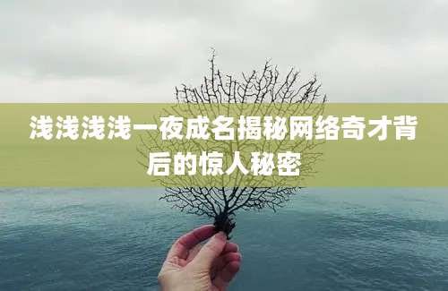浅浅浅浅一夜成名揭秘网络奇才背后的惊人秘密