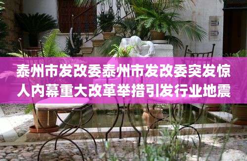 泰州市发改委泰州市发改委突发惊人内幕重大改革举措引发行业地震