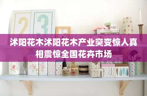 沭阳花木沭阳花木产业突变惊人真相震惊全国花卉市场