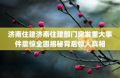 济南住建济南住建部门突发重大事件震惊全国揭秘背后惊人真相