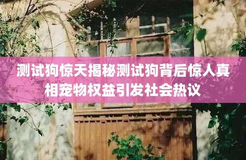 测试狗惊天揭秘测试狗背后惊人真相宠物权益引发社会热议