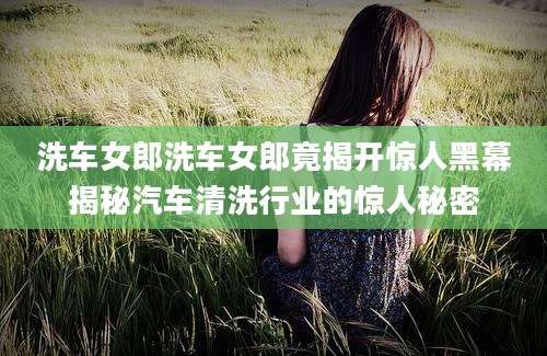 洗车女郎洗车女郎竟揭开惊人黑幕揭秘汽车清洗行业的惊人秘密