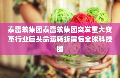 泰雷兹集团泰雷兹集团突发重大变革行业巨头命运转折震惊全球科技圈