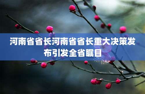 河南省省长河南省省长重大决策发布引发全省瞩目