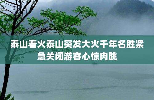 泰山着火泰山突发大火千年名胜紧急关闭游客心惊肉跳