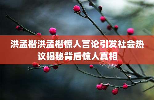 洪孟楷洪孟楷惊人言论引发社会热议揭秘背后惊人真相