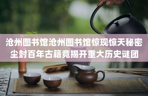 沧州图书馆沧州图书馆惊现惊天秘密尘封百年古籍竟揭开重大历史谜团