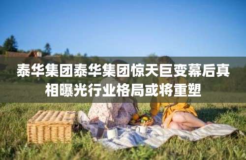 泰华集团泰华集团惊天巨变幕后真相曝光行业格局或将重塑