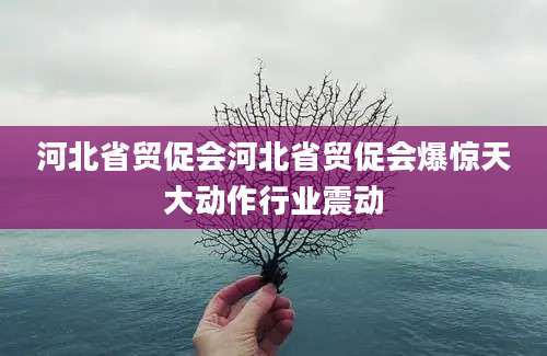 河北省贸促会河北省贸促会爆惊天大动作行业震动