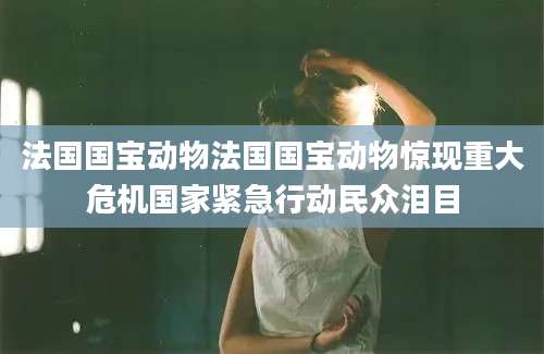 法国国宝动物法国国宝动物惊现重大危机国家紧急行动民众泪目