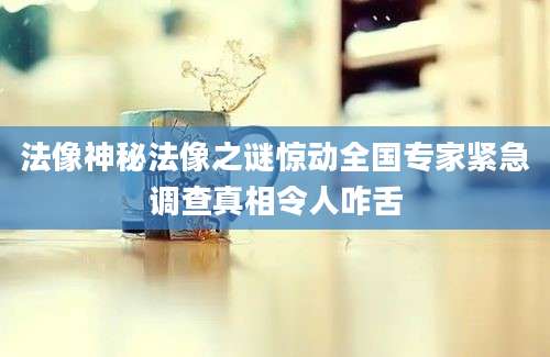 法像神秘法像之谜惊动全国专家紧急调查真相令人咋舌