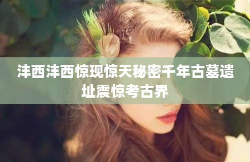 沣西沣西惊现惊天秘密千年古墓遗址震惊考古界