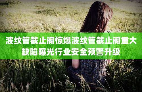 波纹管截止阀惊爆波纹管截止阀重大缺陷曝光行业安全预警升级