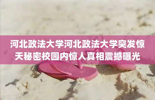 河北政法大学河北政法大学突发惊天秘密校园内惊人真相震撼曝光