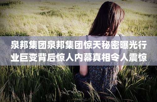 泉邦集团泉邦集团惊天秘密曝光行业巨变背后惊人内幕真相令人震惊