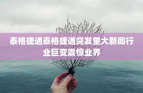 泰格捷通泰格捷通突发重大新闻行业巨变震惊业界