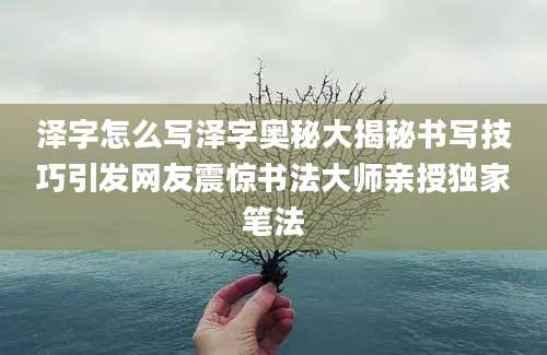 泽字怎么写泽字奥秘大揭秘书写技巧引发网友震惊书法大师亲授独家笔法