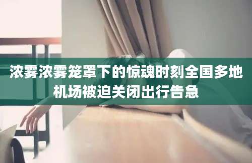 浓雾浓雾笼罩下的惊魂时刻全国多地机场被迫关闭出行告急