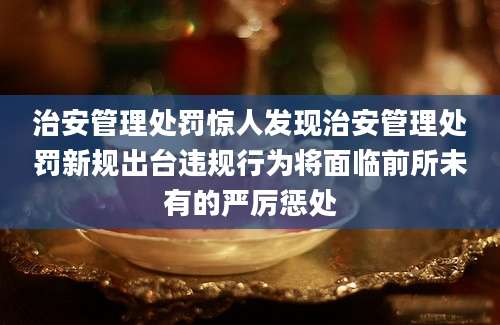 治安管理处罚惊人发现治安管理处罚新规出台违规行为将面临前所未有的严厉惩处