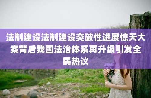 法制建设法制建设突破性进展惊天大案背后我国法治体系再升级引发全民热议