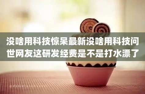 没啥用科技惊呆最新没啥用科技问世网友这研发经费是不是打水漂了