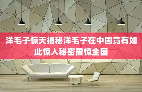 洋毛子惊天揭秘洋毛子在中国竟有如此惊人秘密震惊全国