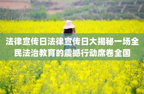 法律宣传日法律宣传日大揭秘一场全民法治教育的震撼行动席卷全国