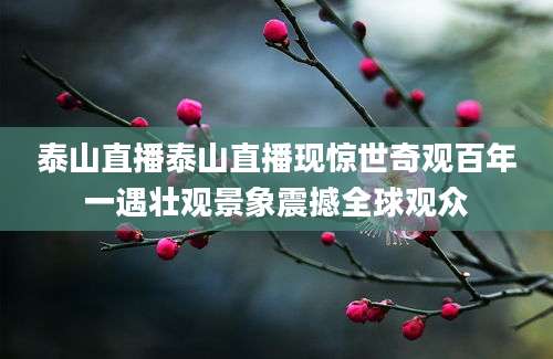 泰山直播泰山直播现惊世奇观百年一遇壮观景象震撼全球观众
