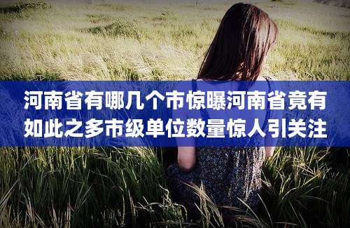 河南省有哪几个市惊曝河南省竟有如此之多市级单位数量惊人引关注