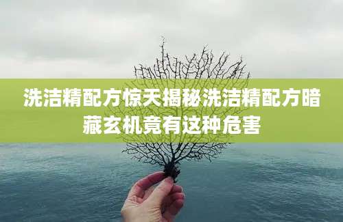 洗洁精配方惊天揭秘洗洁精配方暗藏玄机竟有这种危害