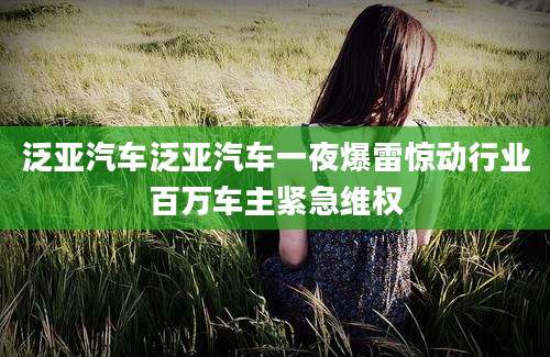 泛亚汽车泛亚汽车一夜爆雷惊动行业百万车主紧急维权