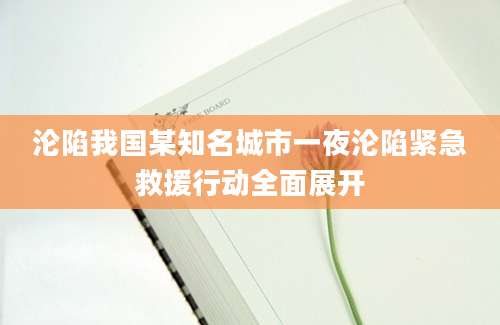 沦陷我国某知名城市一夜沦陷紧急救援行动全面展开