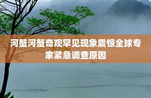 河蟹河蟹奇观罕见现象震惊全球专家紧急调查原因