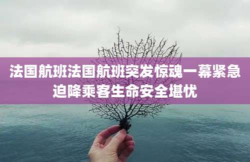 法国航班法国航班突发惊魂一幕紧急迫降乘客生命安全堪忧