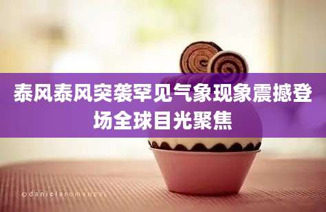 泰风泰风突袭罕见气象现象震撼登场全球目光聚焦